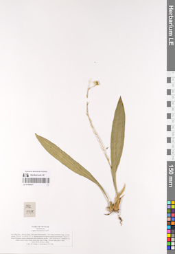 LE 01069627