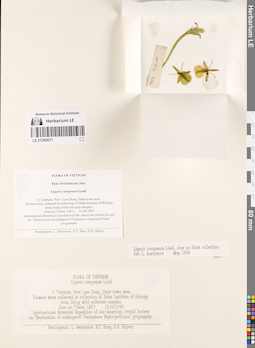 LE 01069671