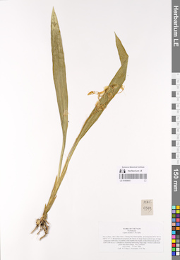 LE 01069843