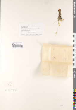 LE 01069869