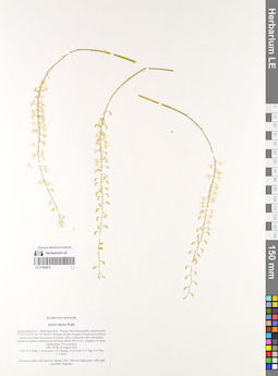 LE 01069870