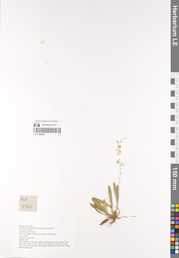 LE 01069880