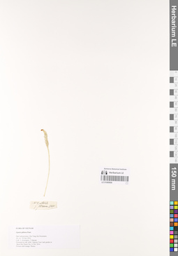 LE 01069906