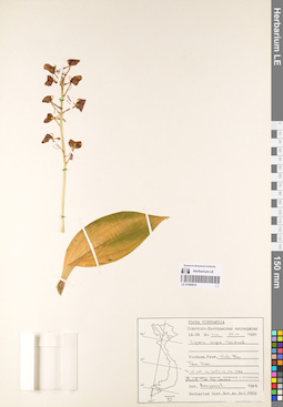 LE 01069916