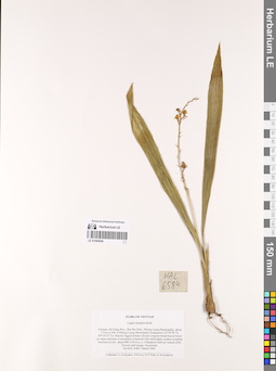 LE 01069946