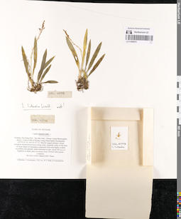LE 01069976