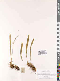 LE 01069999