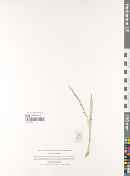 LE 01070018