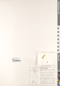 LE 01070052