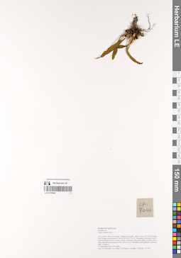 LE 01070086