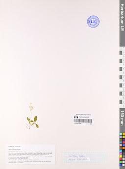 LE 01073685