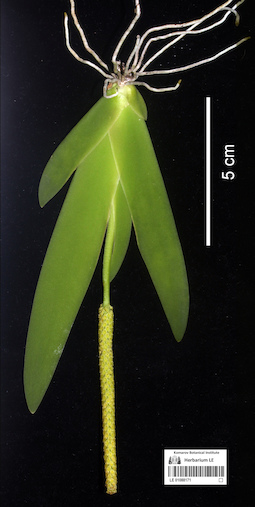 LE 01088171