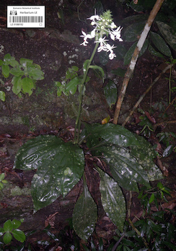LE 01088182