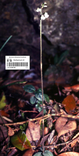 LE 01088186