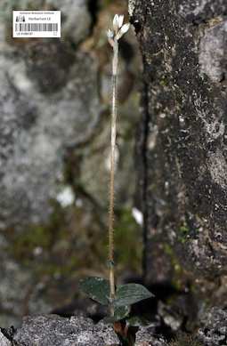 LE 01088187