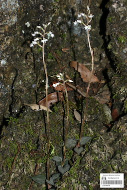 LE 01088188