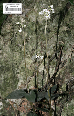 LE 01088189