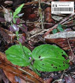 LE 01093014