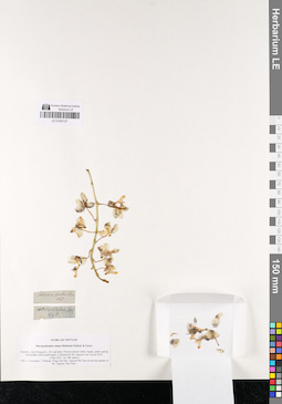LE 01050127