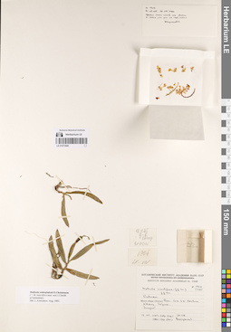 LE 01073945