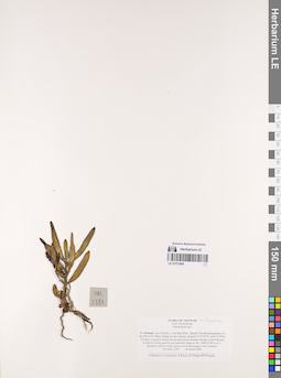 LE 01073949