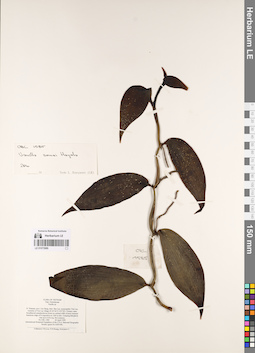 LE 01073989
