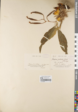 LE 01076889
