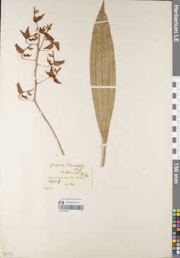 LE 01076907