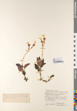 LE 01074355