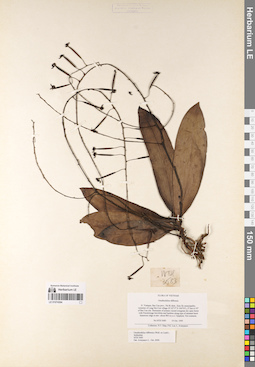 LE 01074364