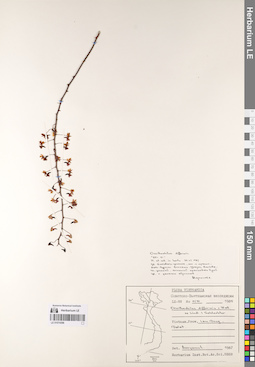 LE 01074396