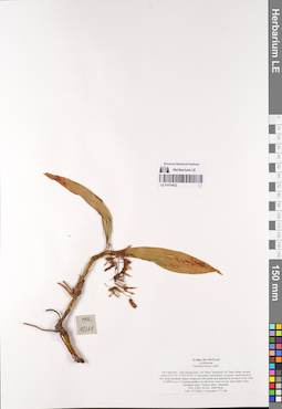 LE 01074422