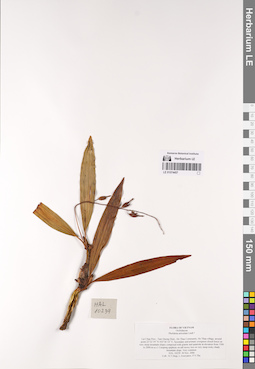 LE 01074457