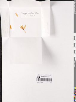 LE 01074483