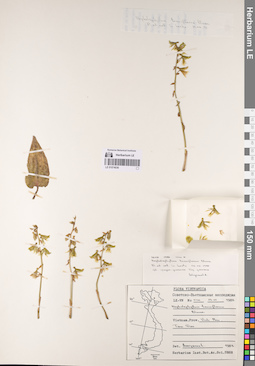 LE 01074036