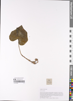 LE 01074043