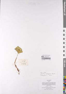LE 01074053