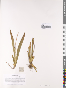 LE 01074173