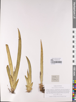 LE 01074187