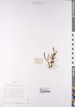 LE 01074195