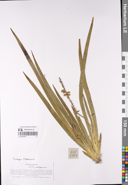 LE 01074197