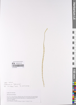 LE 01074234