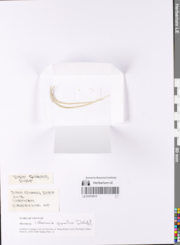 LE 01074313