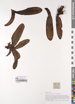 LE 01074745