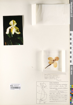 LE 01074753