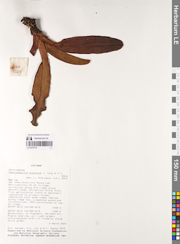 LE 01074776