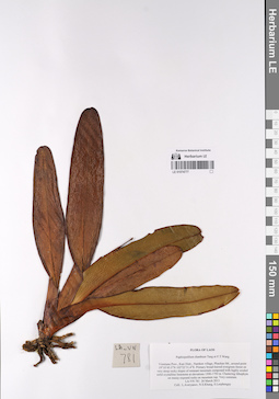 LE 01074777