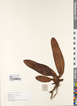 LE 01074788