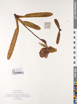 LE 01074795