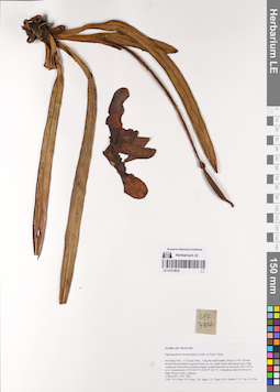 LE 01074833
